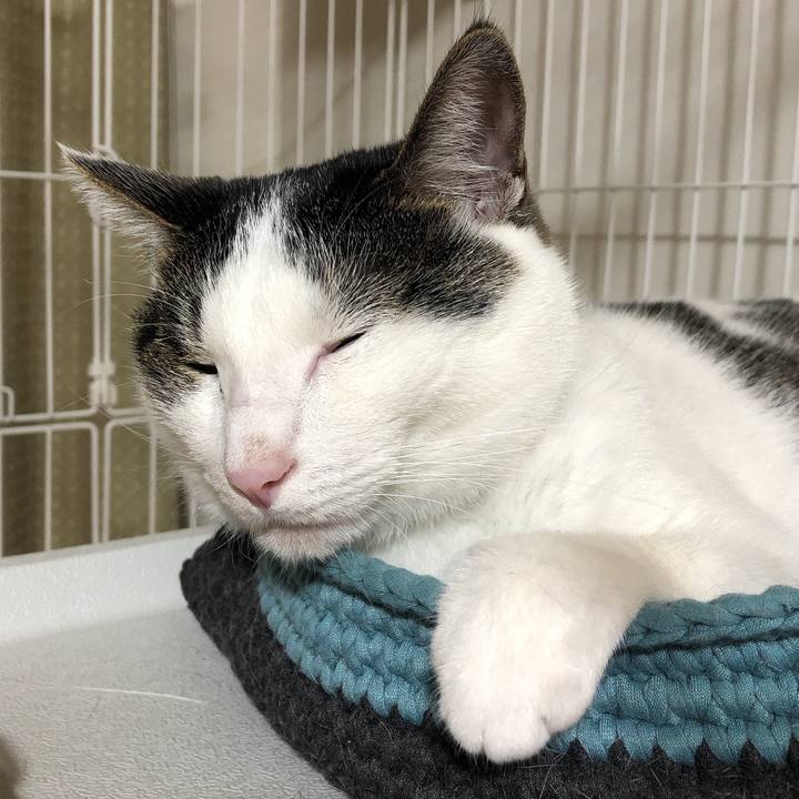 F05c4c68 00a4 4b7f 8e49 3225b4aae567 1631714013874