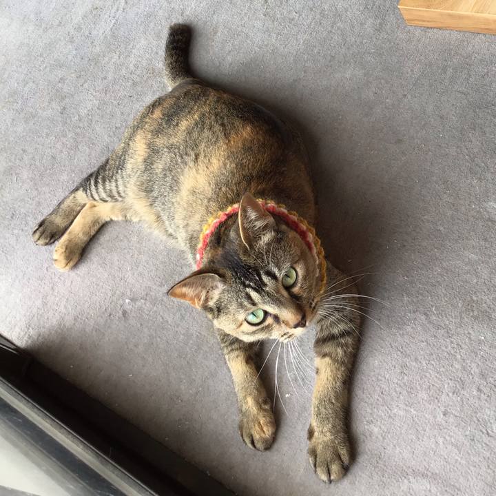 F05c5e31 1bf9 433d bcf0 be29f76766fe 1623047784244