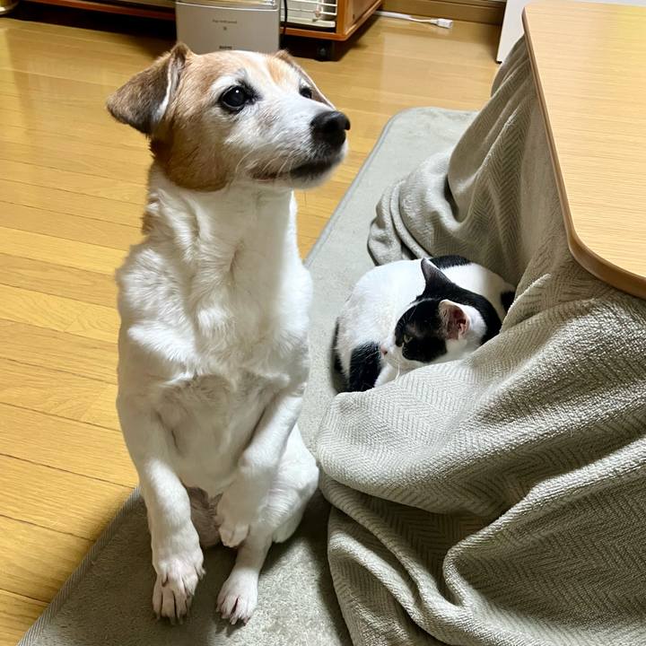 F05cc268 cd07 4596 a86a c06d554d30a9 1708697431772