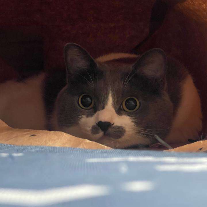 F05d43f0 2359 4fa4 a40d 003474de2ba2 1721524012871