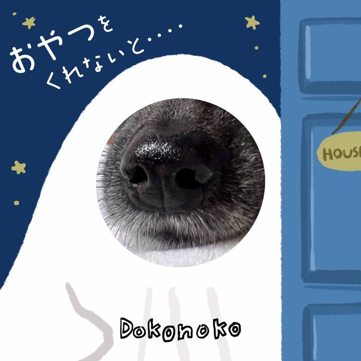 F05d9b5d 13ba 4fb8 9b03 a12470df22f7 1729157677180