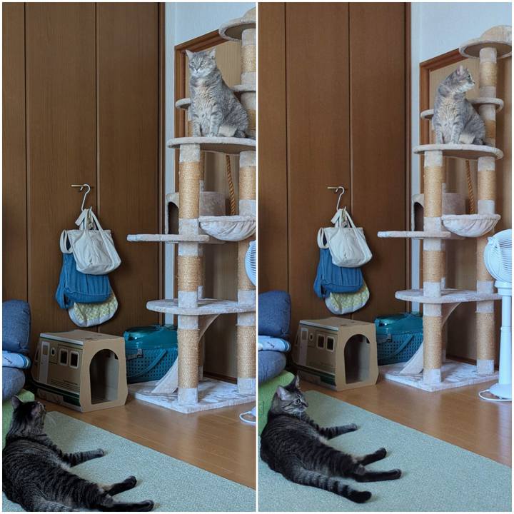 F05dbab9 c872 47fd af91 19ae885f79fb 1728283907267