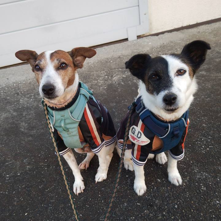 F05dec96 794f 419c 9776 ed7c6a9f8cd1 1763765465931