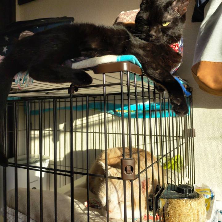 F05e0d7a 655a 40b5 9b8f e0843c83934d 1669848431123