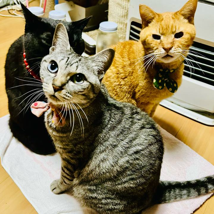 F05e244f c935 46e9 b161 34b514cd956f 1774548114810