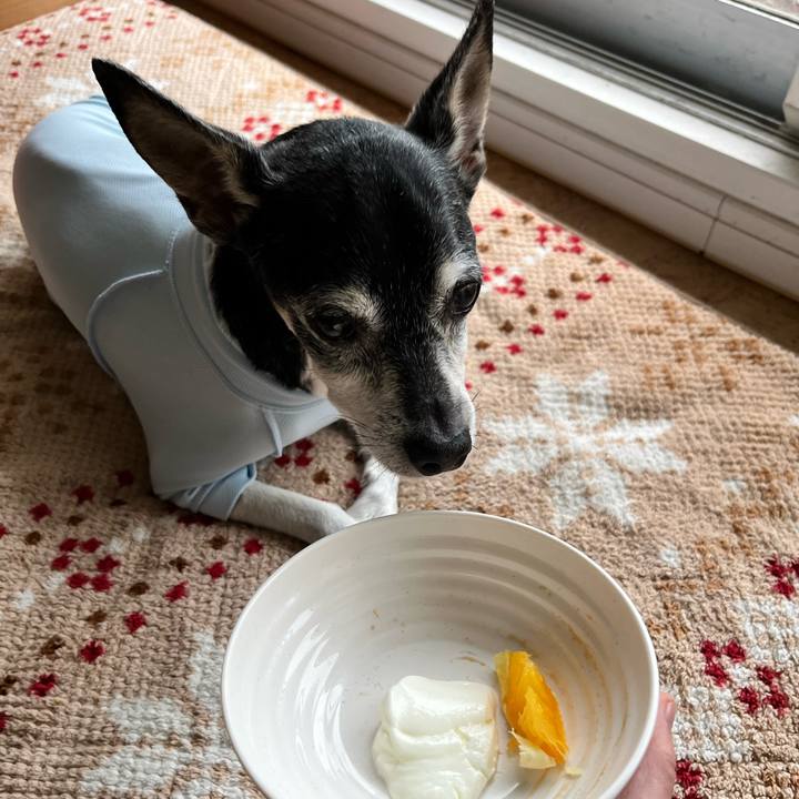 F05e51ae e809 4530 997d f72171ee9a38 1652794108847