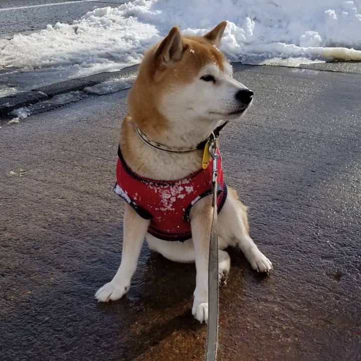 F05e5be8 895c 4970 844a 18b6eaf38475 1610253964484