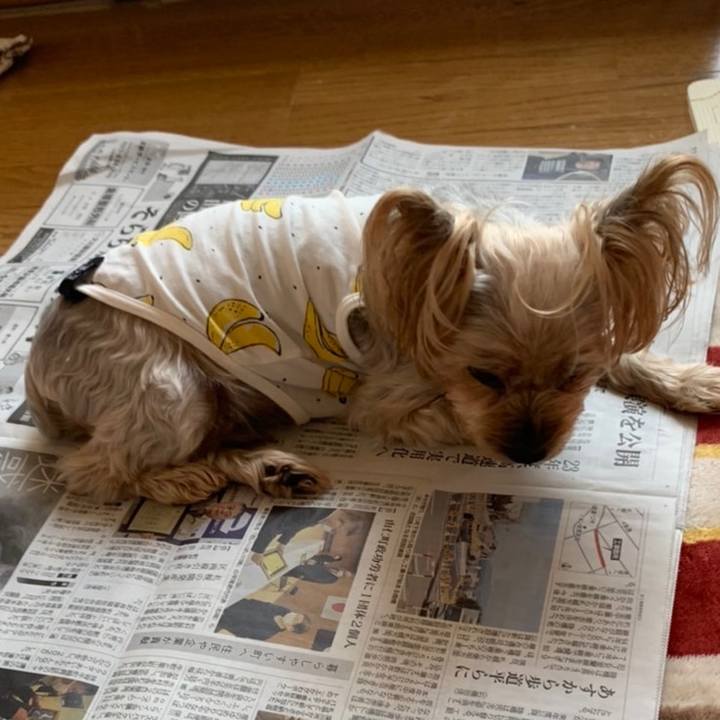 F05e6031 65ca 4cd2 b5c8 ddeac6d201ce 1637659418506