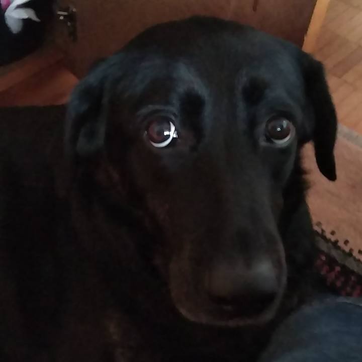 F05ec4d6 578f 489c bcc4 d28e77d5a79f 1584086115635