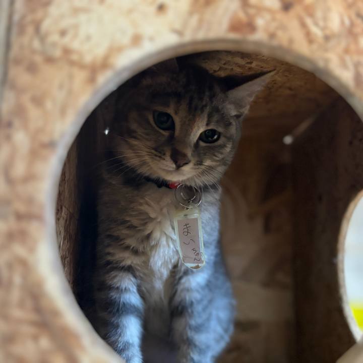 F05ed8e7 8adf 45e9 b2d4 11d00c60a5c1 1769591476574