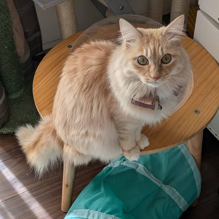 F05ef2ea fa2f 4072 89ac 11cab0d795f0 1738811979778