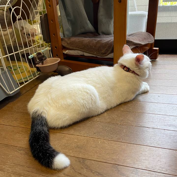 F05f27b8 1f4b 4467 a45d cf4f6a0e9d17 1753138607575