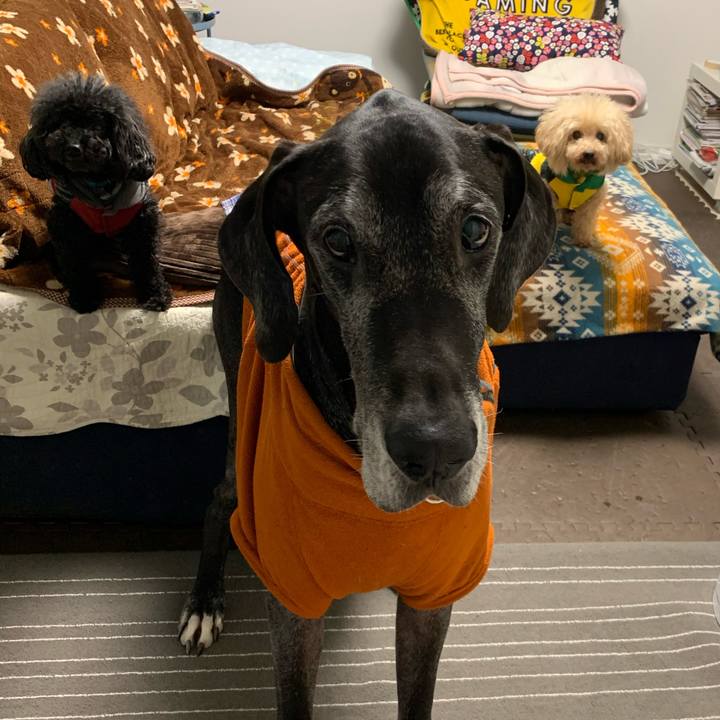 F05f2fc3 c7e9 46fa ac93 a907705ebe37 1608074156263