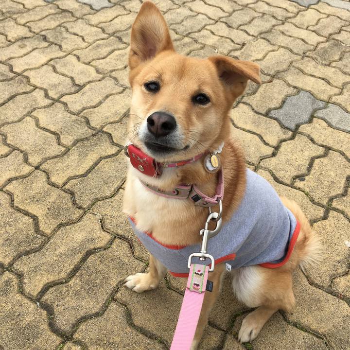 F05f3afb 5a09 4d86 ba4e 6b3e398478bb 1519797025563