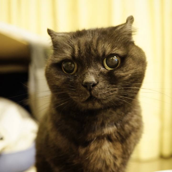 F05f4308 dffb 4da0 be29 972160ca67b0 1645109931097