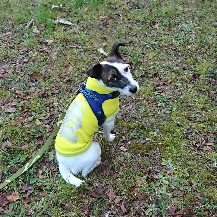 F05f4cbc 1871 479f b8d2 551ed147e12a 1515280890274