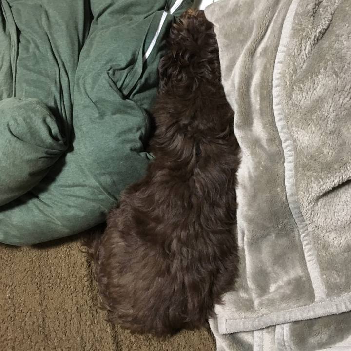 F05f67bf 3a02 403f 85d0 ba47ac93d908 1546518584730