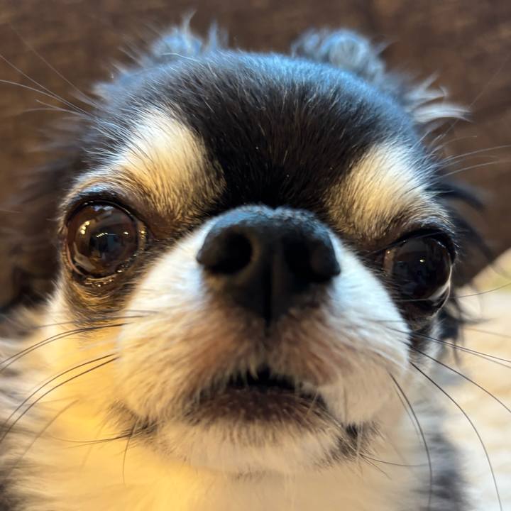 F05f6b0a 5779 4134 a7bd 86da256ded25 1752967077965