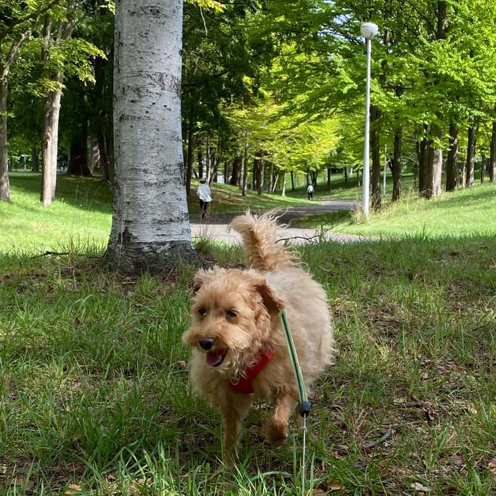 F05f7e12 b09d 44e0 8c56 c1f2ab45a362 1661772501153