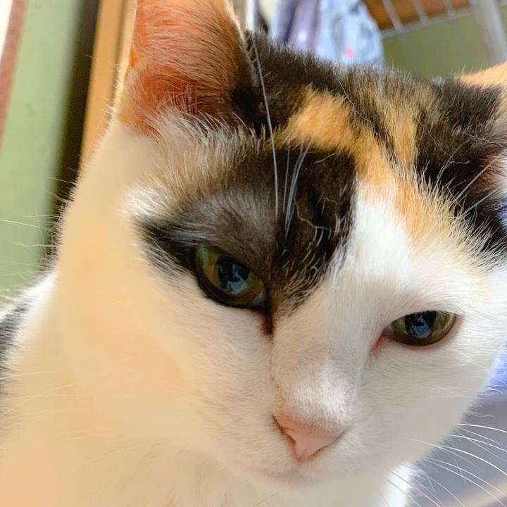 F05fcbde 97ca 432b 94fc 51dc967bb093 1561422847585