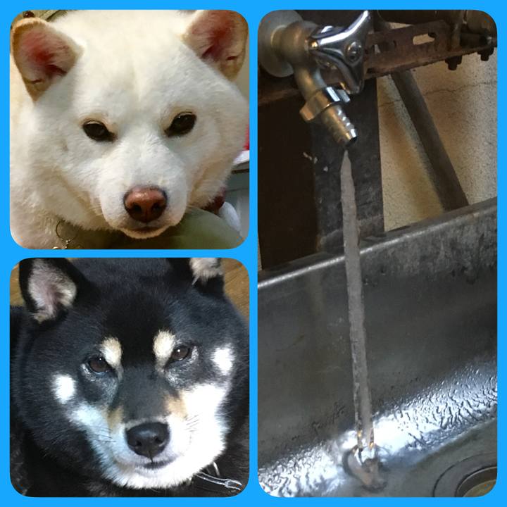 F05fd730 c66a 43cf b1e9 2bfceb6ca171 1518177756370