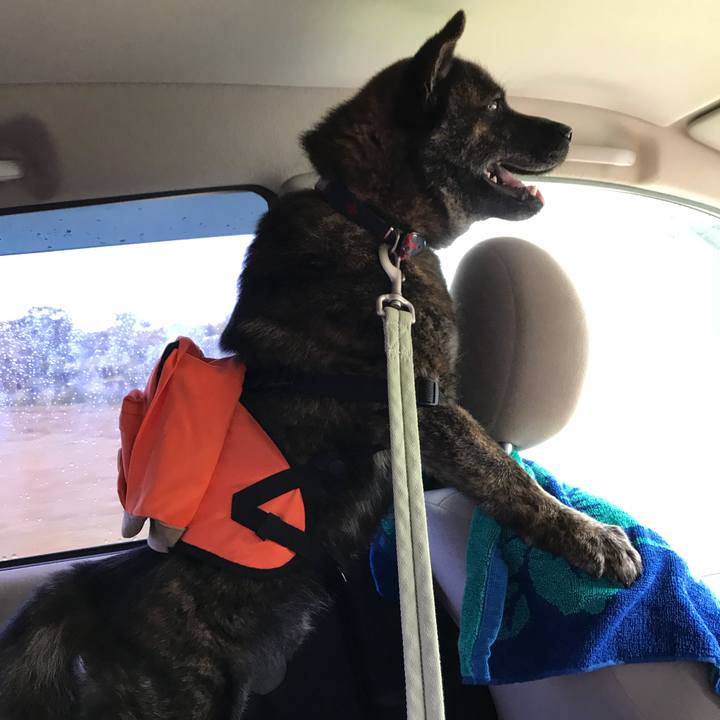 F0602c61 fb00 4beb b0e5 164a5580bcf4 1526809293132