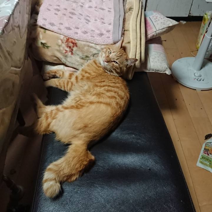 F06060ed 0d20 4522 bd47 3014f1059a28 1660428064314