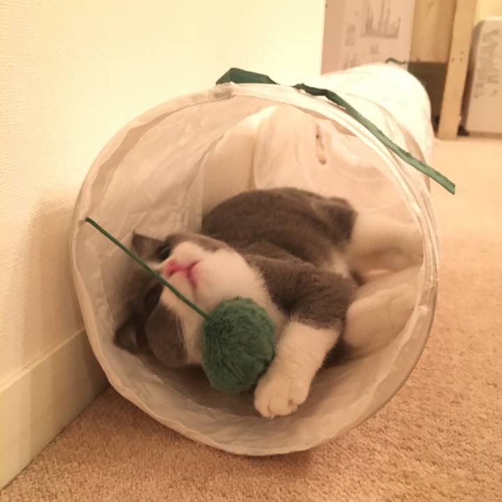 F06075d0 b86f 48b5 8ec1 47248be23721 1509158033722