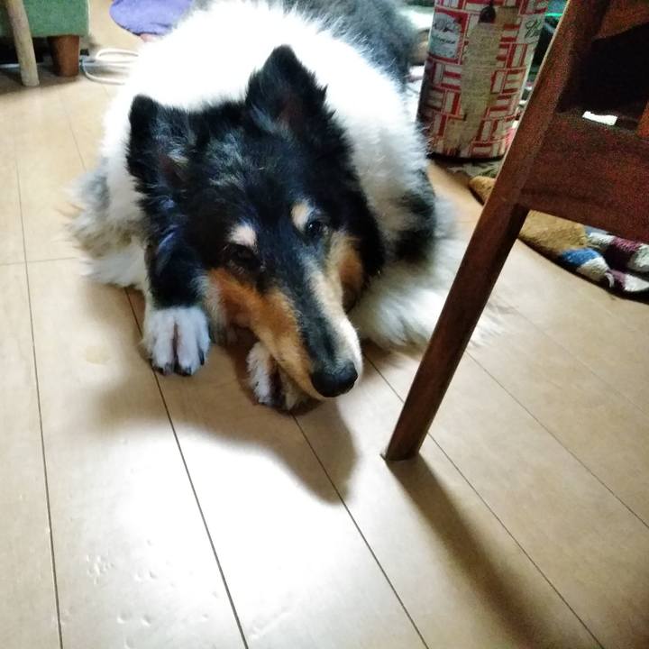 F0609b25 a423 40fb a37e 55d697a1dc8a 1559825668478