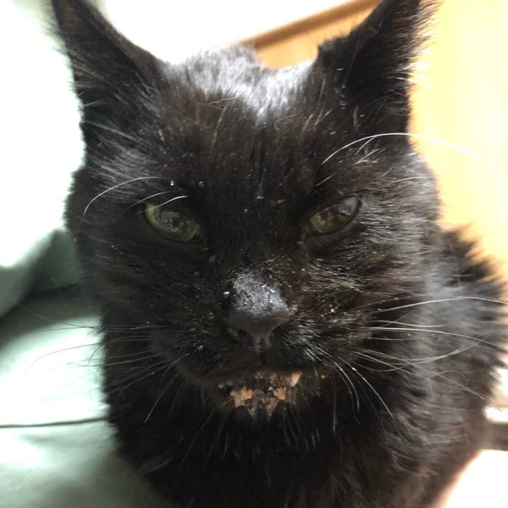 F060d208 88d1 44d5 845d e2eab331cabc 1645994430155