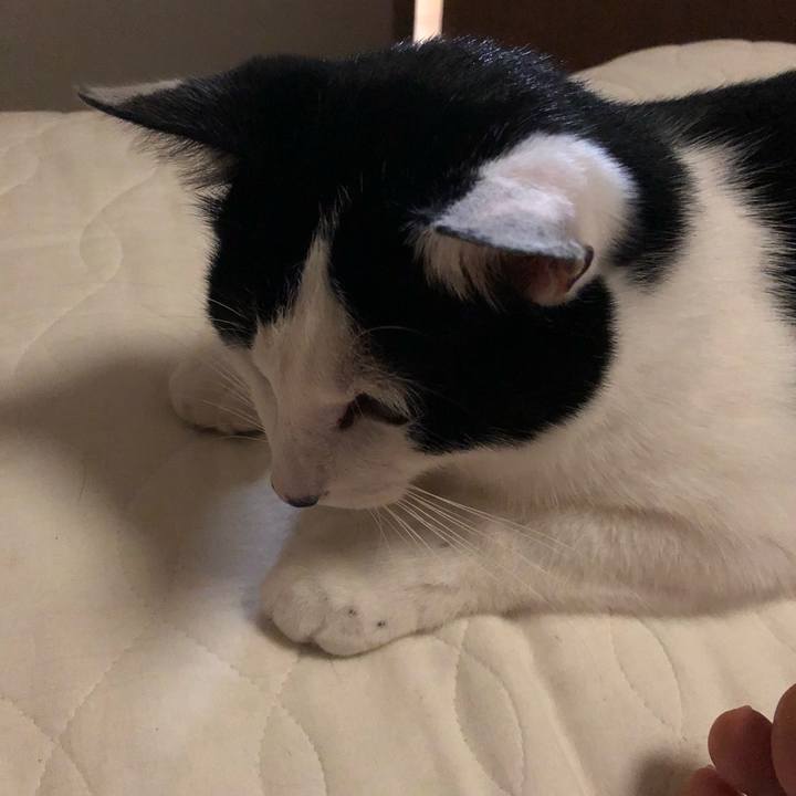 F060d357 8d69 4b3b 8a9a ae4ca6ea3f3f 1560523084972