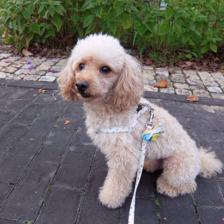 F0614f9a e833 4335 8a66 61286fe0f478 1538399966329