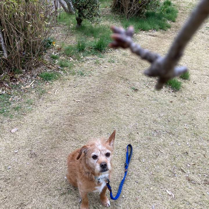 F0614f9f 253d 42e2 a79e 3a9fe6c64b26 1709810672516