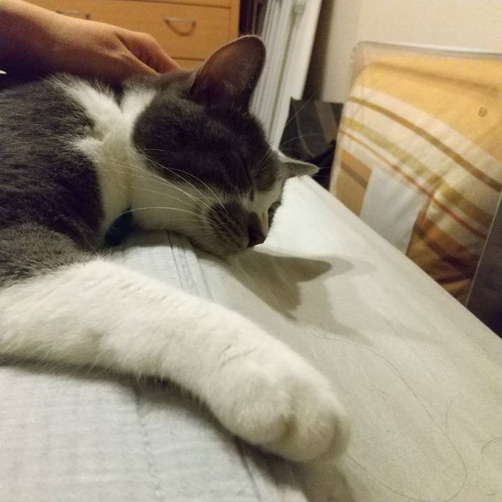 F0615f0c 9380 41a5 a4d9 15a11b79a025 1629929039136