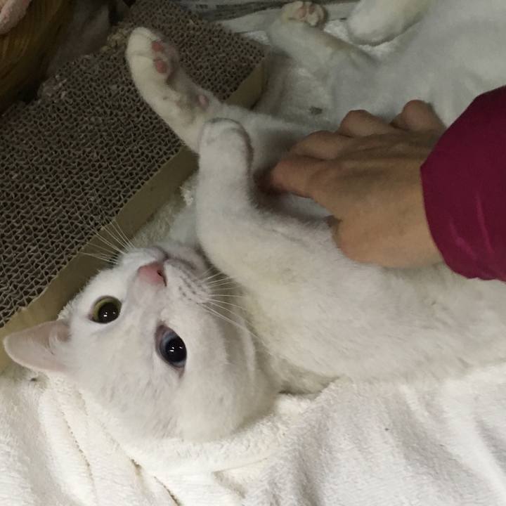 F0616511 0dee 4b4f a0c6 dae5b44ac811 1517963935753