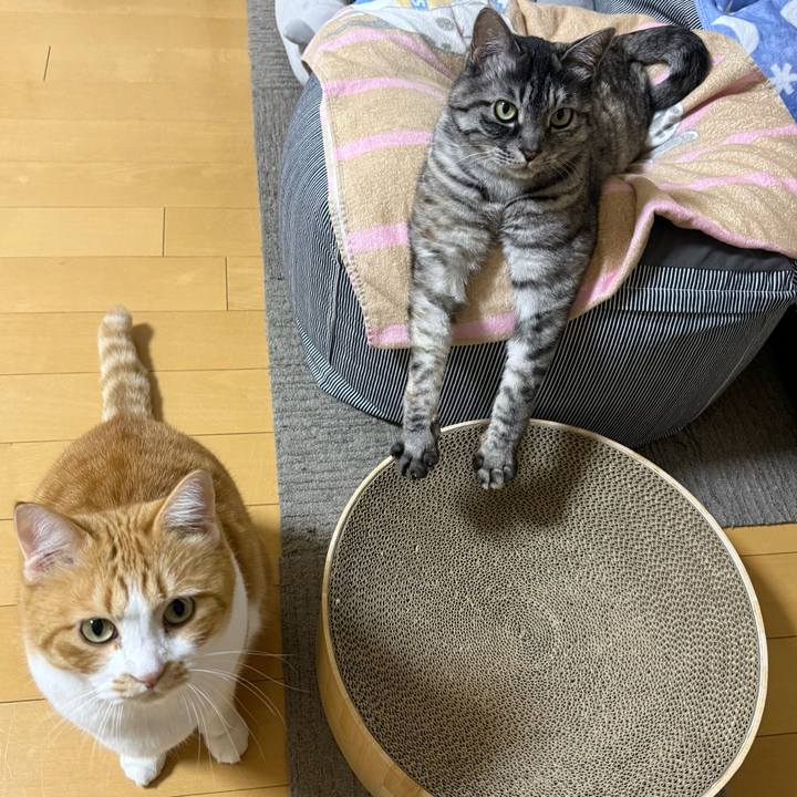 F0619568 8e38 466d b3a0 27fcbe6f07b8 1765611491442