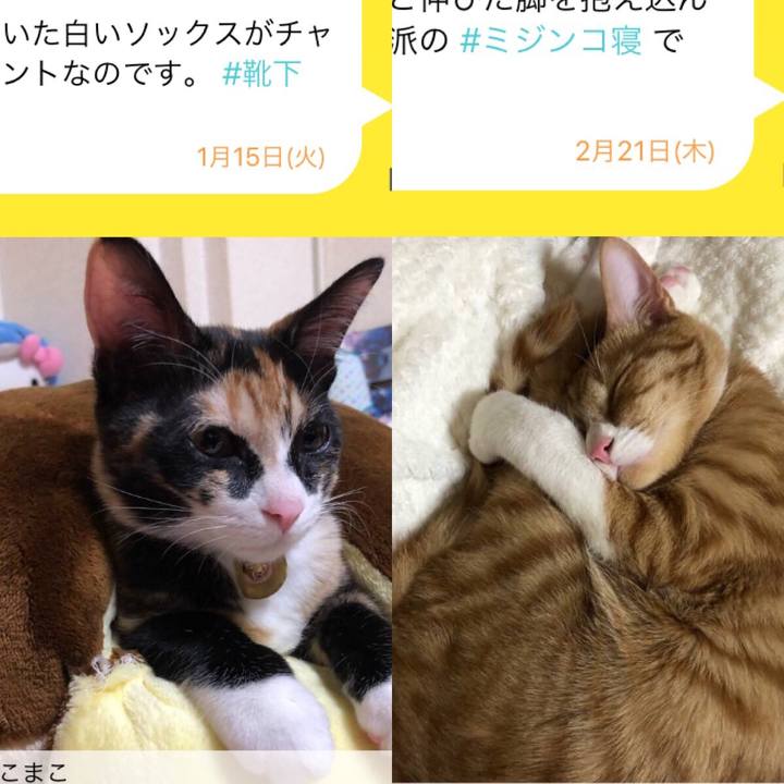 F061a274 6aab 4a9c b703 1fd15e12fe50 1550728077666