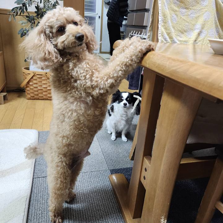 F061acdf e080 4de4 a21d 6311f4c6c86e 1766100195681