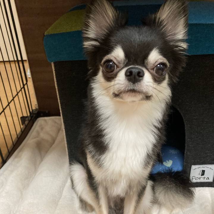 F061bc0e 124b 4b0e 92ee 83b596335cec 1627047266497