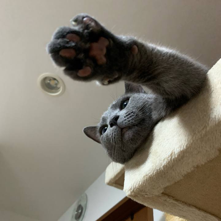 F061d0ba c186 4267 98bf 968e1d8e623e 1629285980192