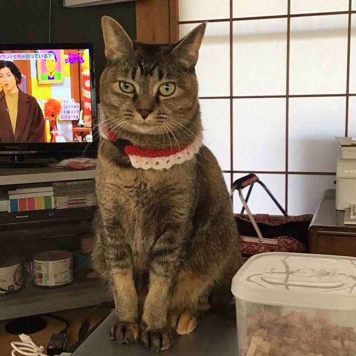 F061e94e dd21 45a8 8f0e 42f215a305c7 1610753937691