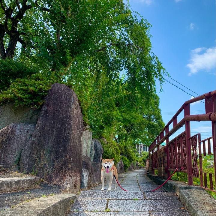 F0620473 0267 4950 8b1a c61d472683f7 1627643606090