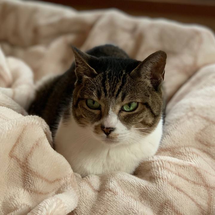 F0620765 5f6d 4bba 80ec 1d3fe7620a32 1574754220924