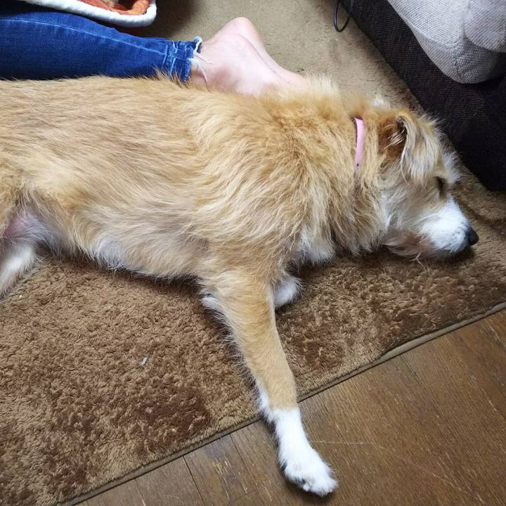 F0622ae7 f960 43e3 882d 6f3993b52c21 1518308121469