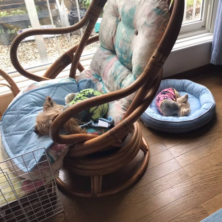 F0626734 0fc8 4755 b1d8 b12b34fd4a19 1593163583609