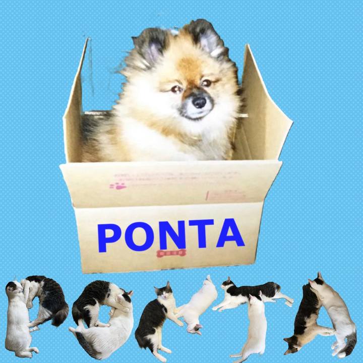 F0629a08 1096 43cb b8c0 a7069b34451f 1667486441482