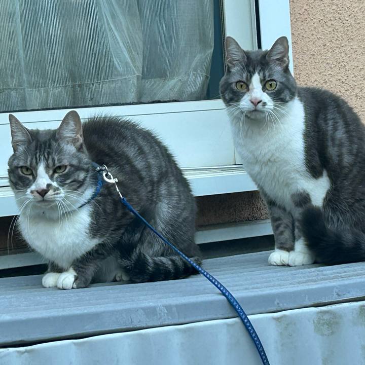 F0629af1 098d 45b7 9d20 bca8eeded22c 1767537116469