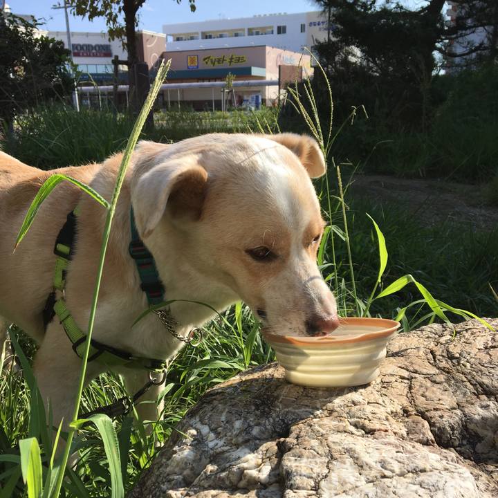 F062a102 36b1 41ee 81d3 5f54eda652aa 1535504625619