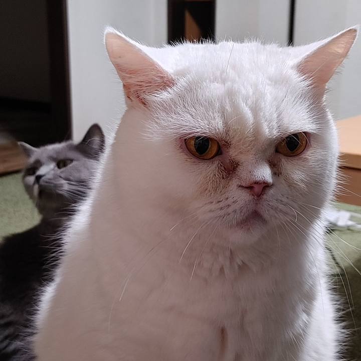 F062fb0c 9fd0 4b56 a8c6 8913415878f2 1727607606494