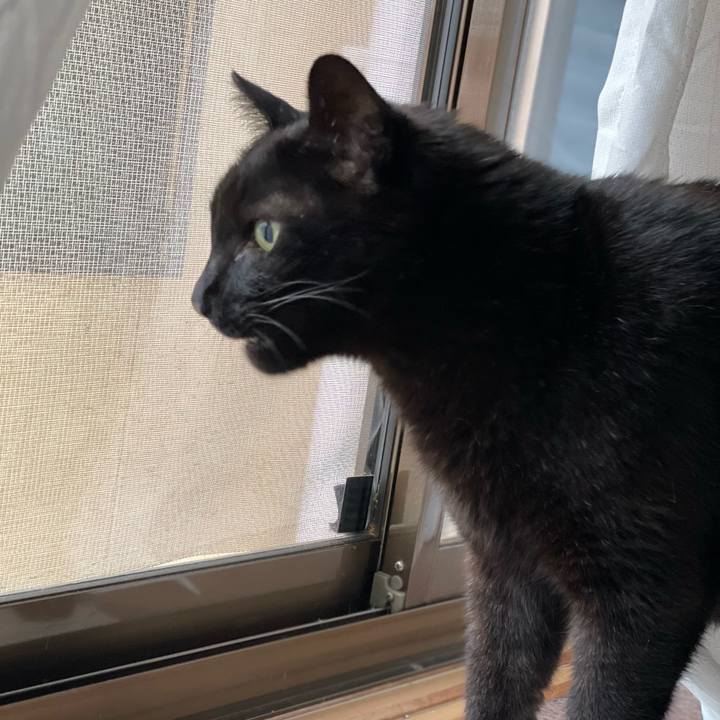 F063185b 6810 4663 af43 8790ea862dae 1655345999958